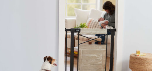 małe dziecko raczkuje po dywanie w jasnym salonie z widocznymi zabezpieczeniami