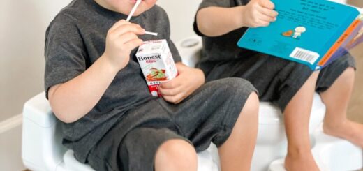 harmonogram odpieluchowania na lodowce